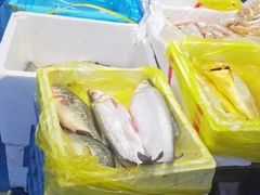 -四道口水产市场