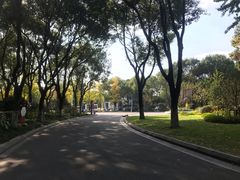 -昆山城市生态森林公园