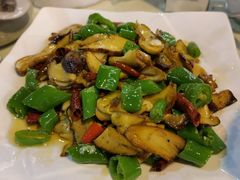 -七采菌园·野生菌石锅鱼(环城北路店)