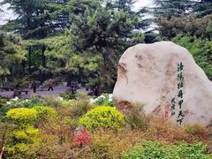 -西苑公园