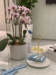-agge蛋白医美