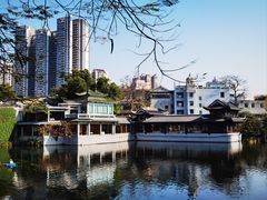 -荔湾湖公园