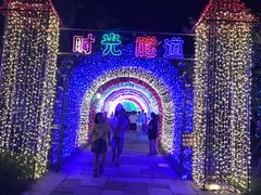 -杭州湾海上花田景区