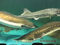 -多彩贵州城极地海洋世界