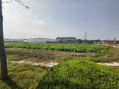 -菊园百果园
