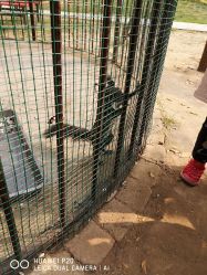 -萌宠亲子动物乐园(槐房万达店)