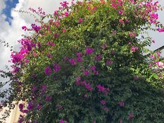 -飘香酒馆·私房菜