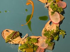 -弦月窗LUNETTE BY AMANDA(复兴路店)