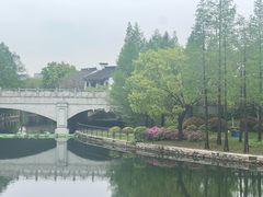 -尚贤河湿地
