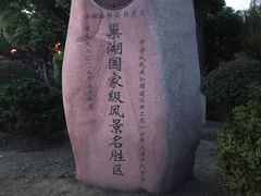-合肥滨湖国家森林公园