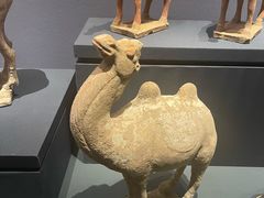 -鄂尔多斯博物馆