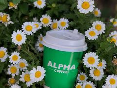 -ALPHA COFFEE阿尔法咖啡(虹泉路店)