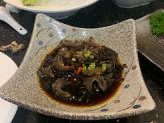 捞汁海参-温度铁板烧(前进大街店)