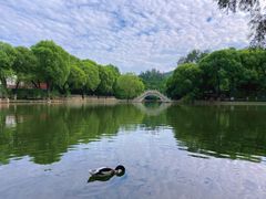 -石家庄市动物园