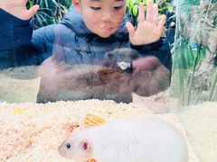 -呀路古热带植物园