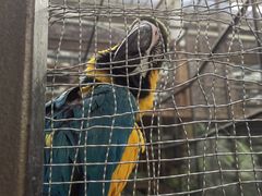 -南宫五洲植物乐园