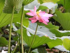 -长春市南湖公园