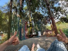 -东南花都花博园