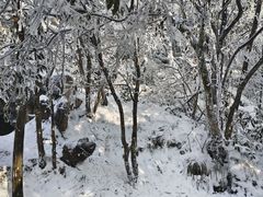 -张家界天门山国家森林公园