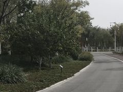 -天津东丽湖风景区