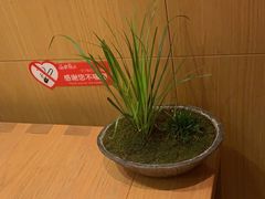 -傲鳗·日本料理(光华路店)