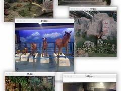 -吉林省自然博物馆