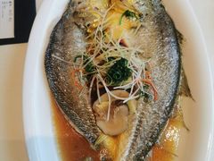 东海黄鱼（花雕鸡油蒸）-香港狮子山下·明星粤菜餐厅(北苑店)