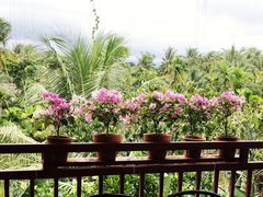-万兴启丰椰子文化园餐厅
