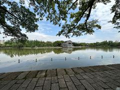 -江心屿景区