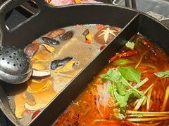-大龙燚·旷野鲜火锅(广州首店)