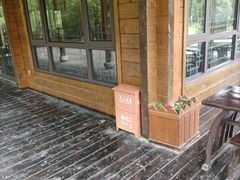 -合肥滨湖国家森林公园