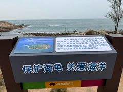 -广东惠东海龟国家级自然保护区