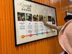 -巴厘岛黄金金兔咖啡工厂