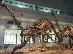 -自贡恐龙博物馆