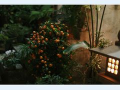 -行人小筑·茶馆(岑村火炉山分店)