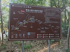 -紫金山山顶公园
