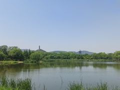 -北坞公园