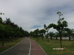 -野狸岛