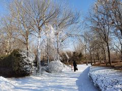 -北京亚布洛尼朝阳公园滑雪场