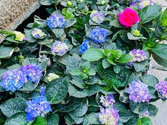 -回龙窝历史文化街区