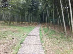 -天下银坑