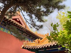 -戏马台景区