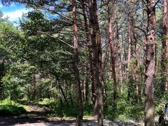 -帽儿山国家森林公园