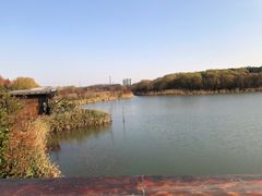 -昆山城市生态森林公园