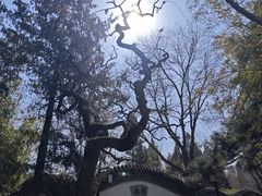 -宣武艺园