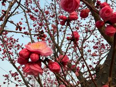 -味多美蛋糕(亚非大厦店)