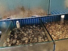 水产区-蟹谢蒸鲜自助餐厅