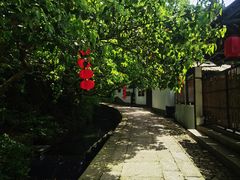 -达蓬山旅游度假区