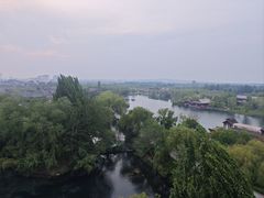 -百脉泉景区