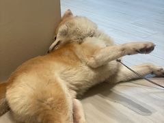 -YCHL Studios健身工作室(市二宫店)